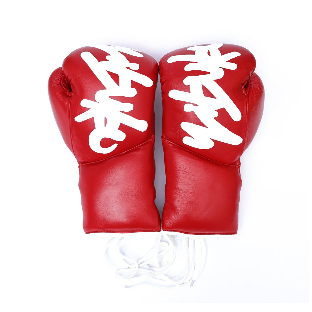 Z-GUARD boxing gloves, Red